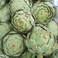 artichokes