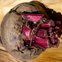 Beetroot