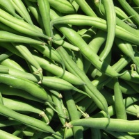 french beans