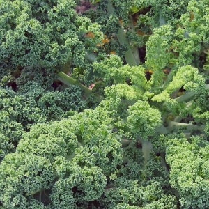 Kale