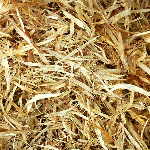 Sawdust and wood shavings