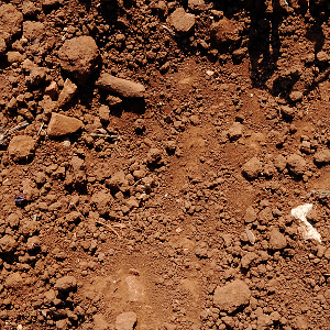soil