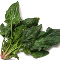 spinach