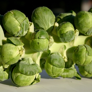 Brussels sprouts