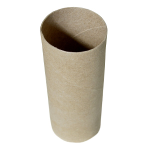 toilet-roll-tube