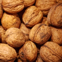 Walnuts