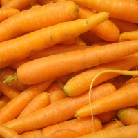 carrots