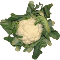 cauliflower