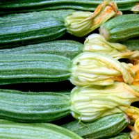 Courgettes and marrows