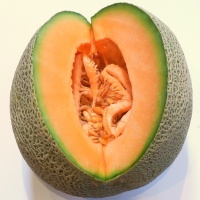 melon