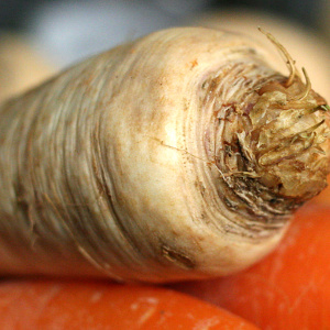 Parsnips