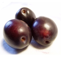 plums