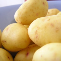 Potatoes