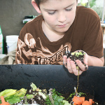 boy-with-compost-150-brown