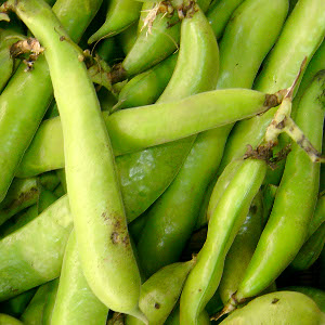 Broad (fava) bean pods