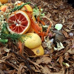 composting-fruit-150