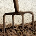 gardening-fork-150