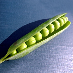 pea-pod