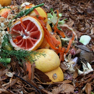 composting-fruit-300